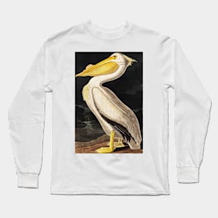 Bird of America  Bird, bird lover, america, beautiful  Public domain painting by John James Audubon Long Sleeve T-Shirt